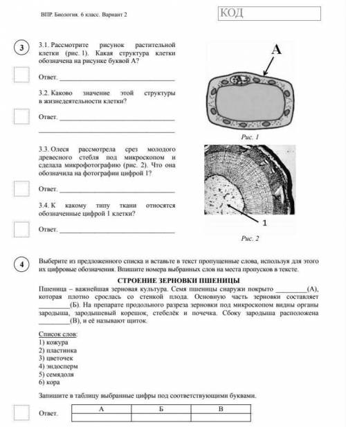 Биология 6 класс ВПР умаляю
