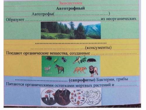 Повторить параграф 53. Заполнить таблицу, используя текст учебника. 