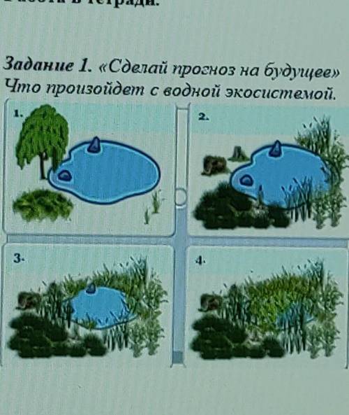 Сделай прогноз на будущее Что произойдет с водной экосистемой.