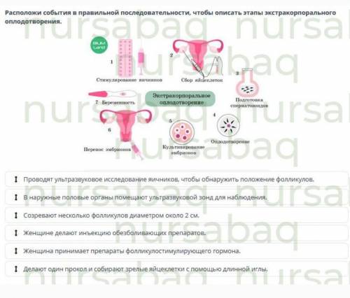 биология 11 класс онлайн мектеп 