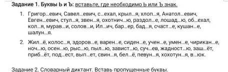 вставить пропущенные буквы ь и ъ​