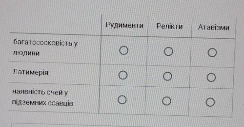 Встановіть відповідність 