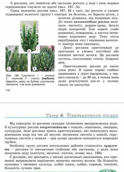 Конспект по биологий на тему Екологічні групи рослин