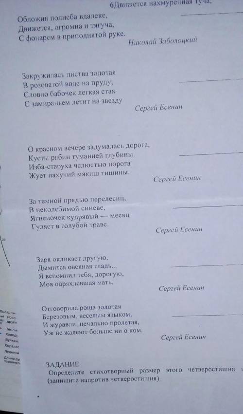 Надо написать стихотворный размер только правильно ☺️