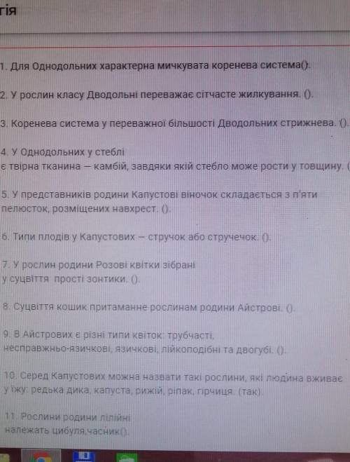Да или нет только правильно 
