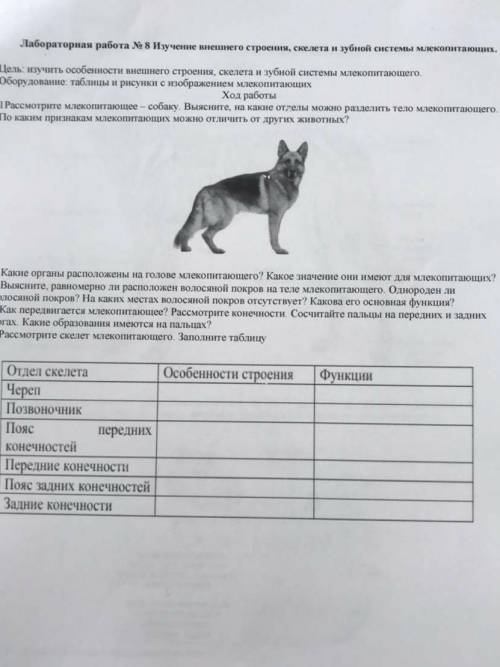 Лабораторная работа по биологии 7класс номер 8