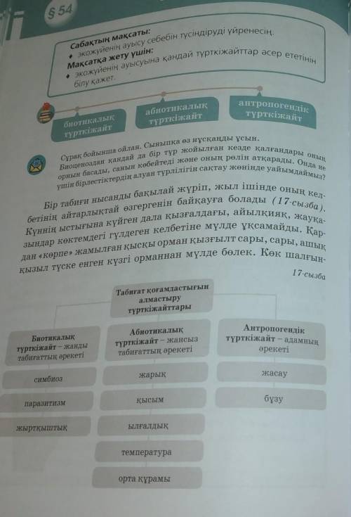 £54 термин сөздерді теріп жаз