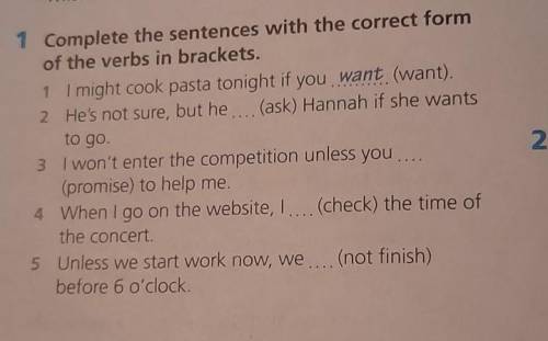 Complete the sentences with the correct form of the verbs in brackets