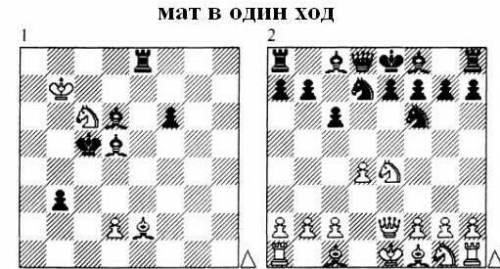 шахматы 9 класс . Мат на один ход