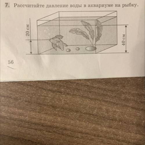 Рассчитайте давление воды в аквариуме на рыбку (напишите с дано и решением)