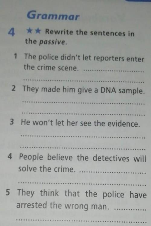 rewrite the sentences in the passive