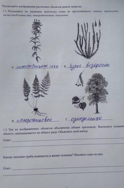 решите .три из изображённых