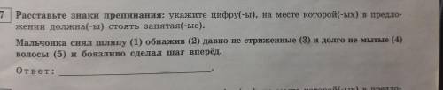 Расставьте знаки препинания в 5 предложениях и ОБЪЯСНИТЕ их расстановку
