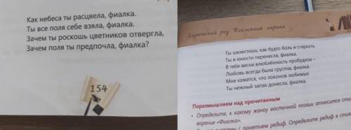 Скажите смысл этого стихотворение