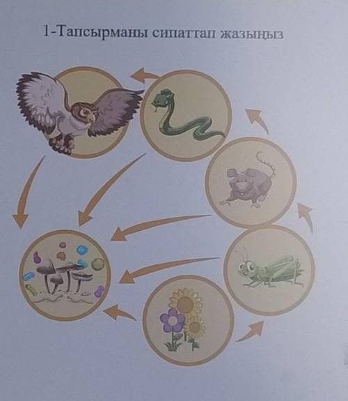 1-Тапсырманы сипаттап жазыңыз