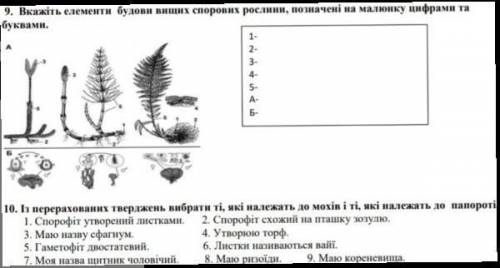 Там 2 завдання. Будь ласочк