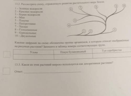 Решайте правильно или в бан! Не пишите ерунду!​​