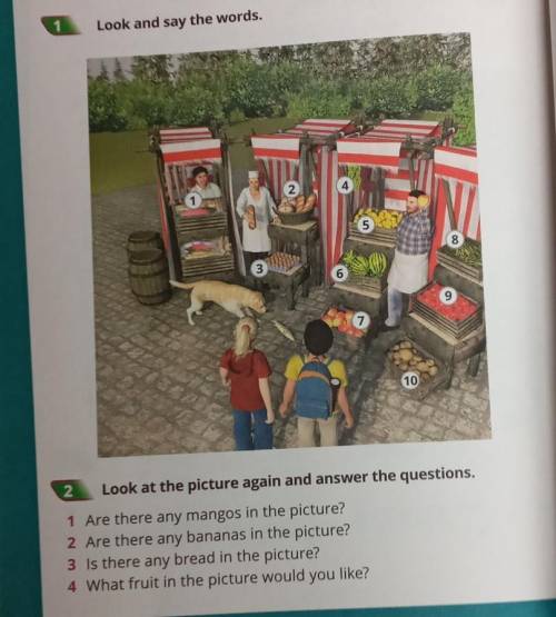 2Look at the picture again and answer the questions.acin the nicture?