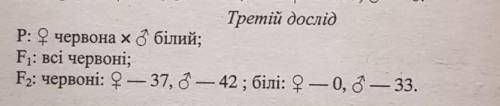 Запрашиваю супе разумов, и всевышнего который это решит 