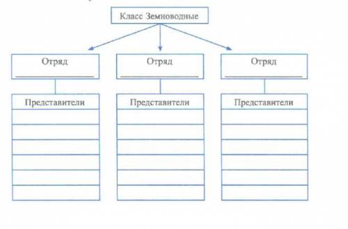 Заполните схему которая в картинке.