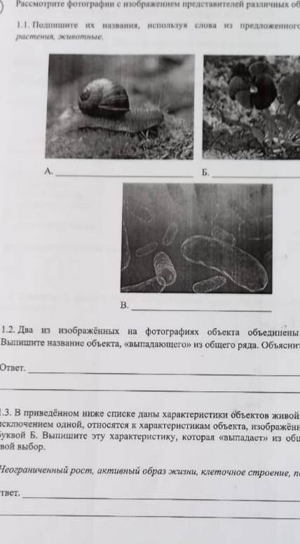Дальше выложу смотри в профиль! 