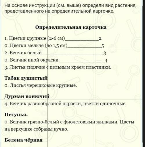 За правильный ответ подписка и 