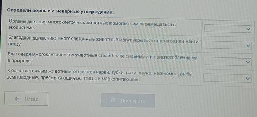 Определи верные и неверные утверждения.​