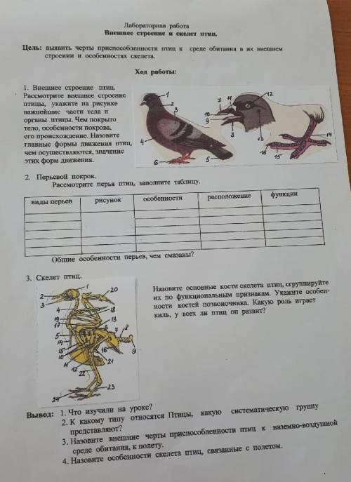Биология 7 класс по братски токо правельно