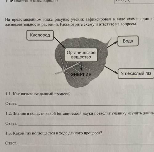 ) На представленном ниже рисунке ученик зафиксировал в виде схемы один из процессов жизнидеятельност