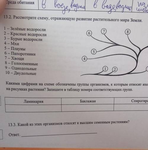  13,2 и 13,3, в интернете этого нет, не ищите даже