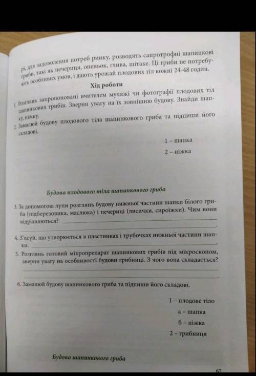 Практична робота по біології до іть 