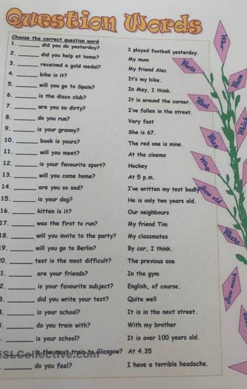 английский язык Special questions