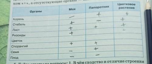 с таблицей это по биологии