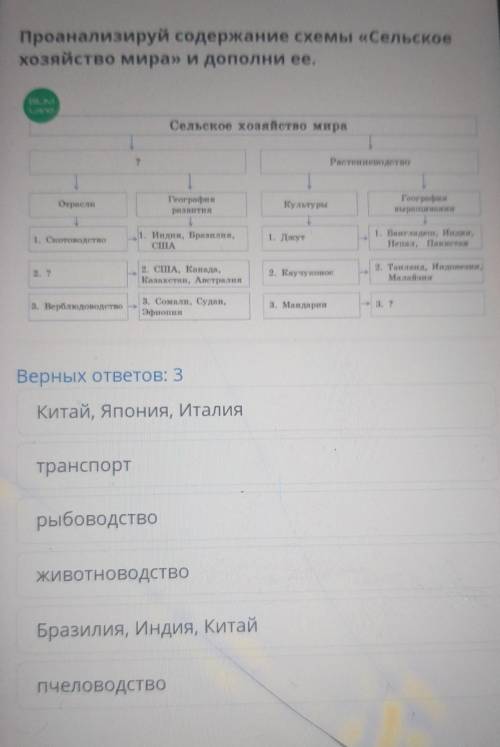 Проанализируй содержание схемы «Сельское хозяйство мира» и дополни ее.ВАМСельское хозяйство мира?Рас