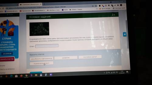 Какой из предложенных вариантов выпадает???