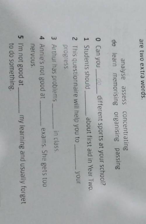 Complete the sentences with the verbs in the correct form