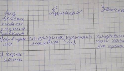 Виды вегетативного размноженияС примерамиИ значениями