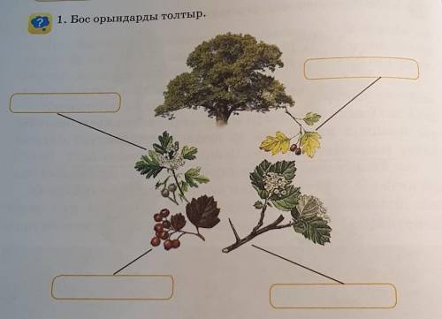 71. Бос орындарды толтыр.