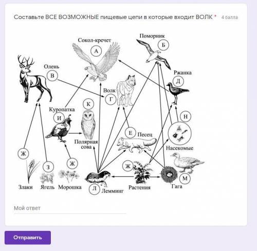1)Составьте ВСЕ ВОЗМОЖНЫЕ пищевые цепи в которые входит ВОЛК 2) Листья репы-блошки-лягушка-уж-хорёк