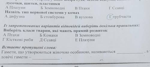 Вставте пропущені слова: . Гамети, що утворюються жіночою особиною, називаютьсяловічі гамети —ачо-