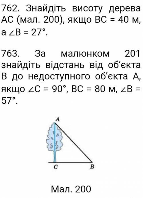 Знайдіть висоту дерева АС ( мал. 200) , якщо ВС =40 м,а кут В =27°​