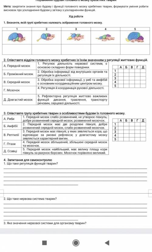Практична робота з біології 7 клас нервова система​