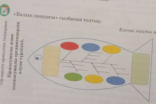 балык канкасы сызбасын толтыр