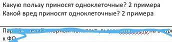 Выполните задание 5 класс естеств