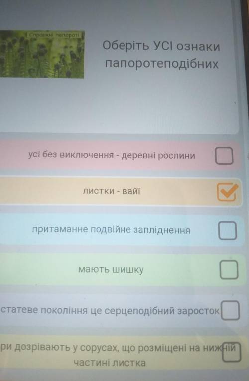 Оберіть усі ознаки папоротеподібних