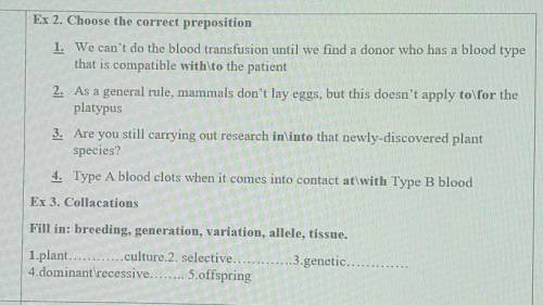 Help me please with this exercises