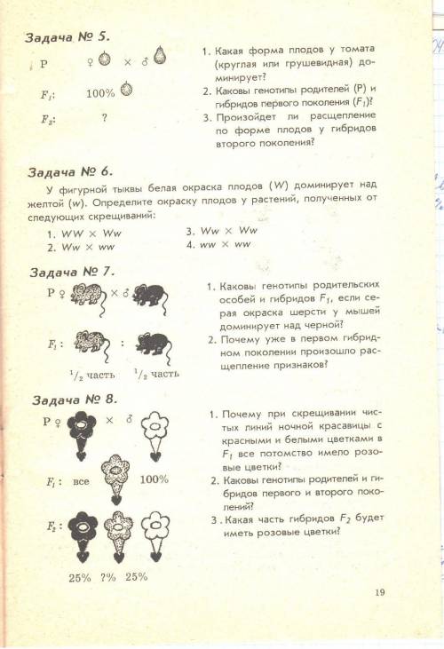Задачи по биологии 10 класс