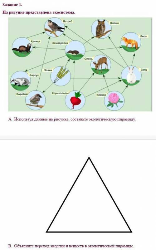 На рисунке представлена экосистема. A. Используя данные на рисунке, составьте экологическую пирами