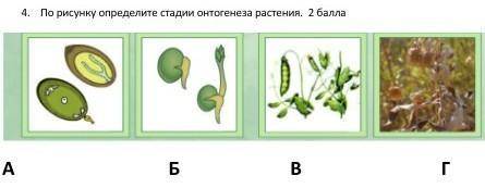 если не трудно Заранее благодарю!