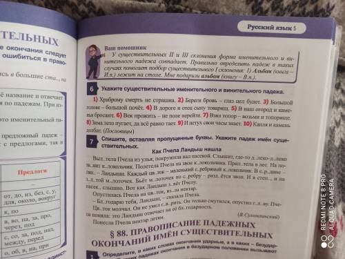 6) укажите существительные именительного и винительного падежа